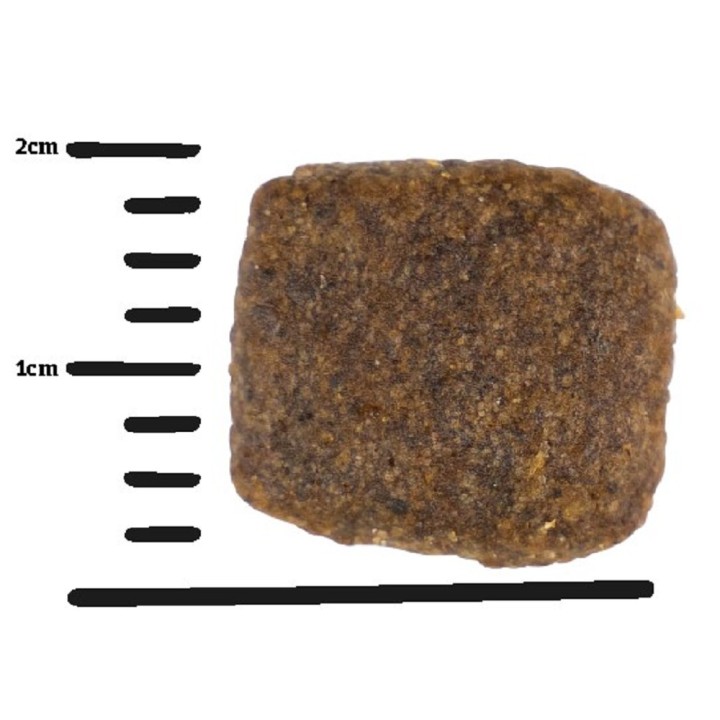 GPF 10kg Hypoallergenic dog